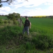 Norov�n� 8.5.2015