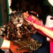 P�edn�ka ing.Zvol�nka 29.5.2014