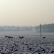 �nor 2012