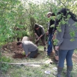 Norov�n� 8.5.2015