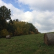 Sokoln�ci 2017