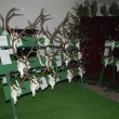P�ehl�dka trofej�