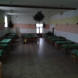Ples 17.2015
