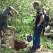 Norov�n� 8.5.2015
