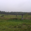 Sokoln�ci 10.10.2014