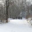 Hon 26.12.2010