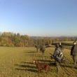 Hon 20.10.2012