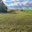 Hon 18.10.2025